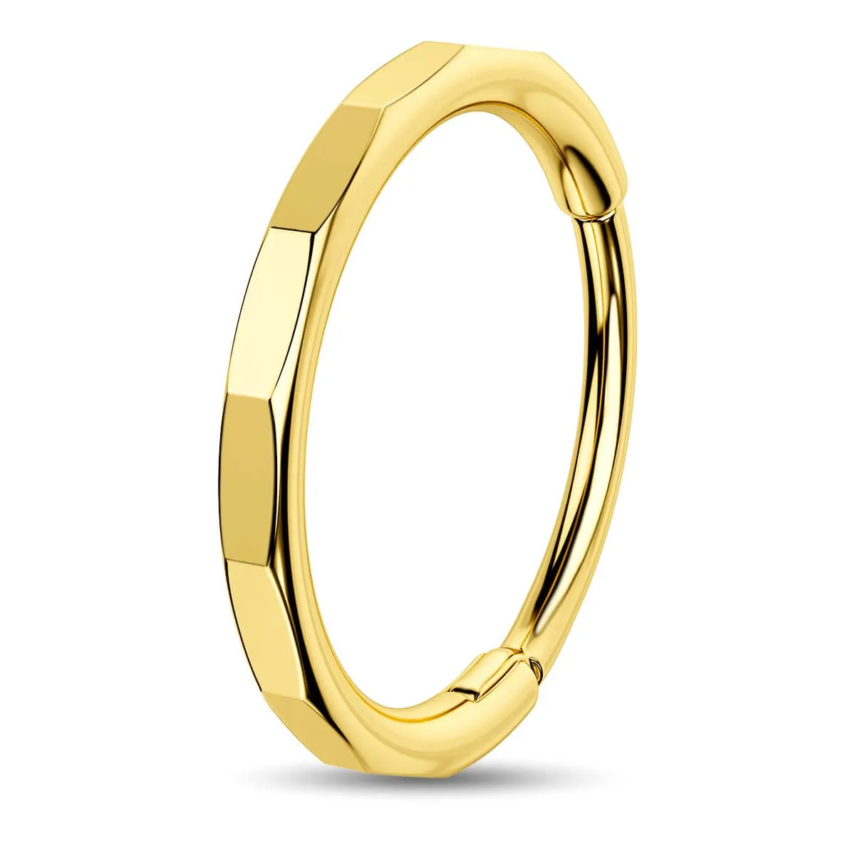 20G Rectangular Cut Hinged Segment Nose Ring