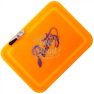 Bandeja Iluminada LED Glow Tray