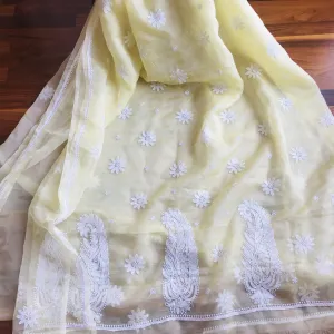 Cream Organza Chikankari Saree