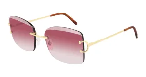 CT0007RS-001