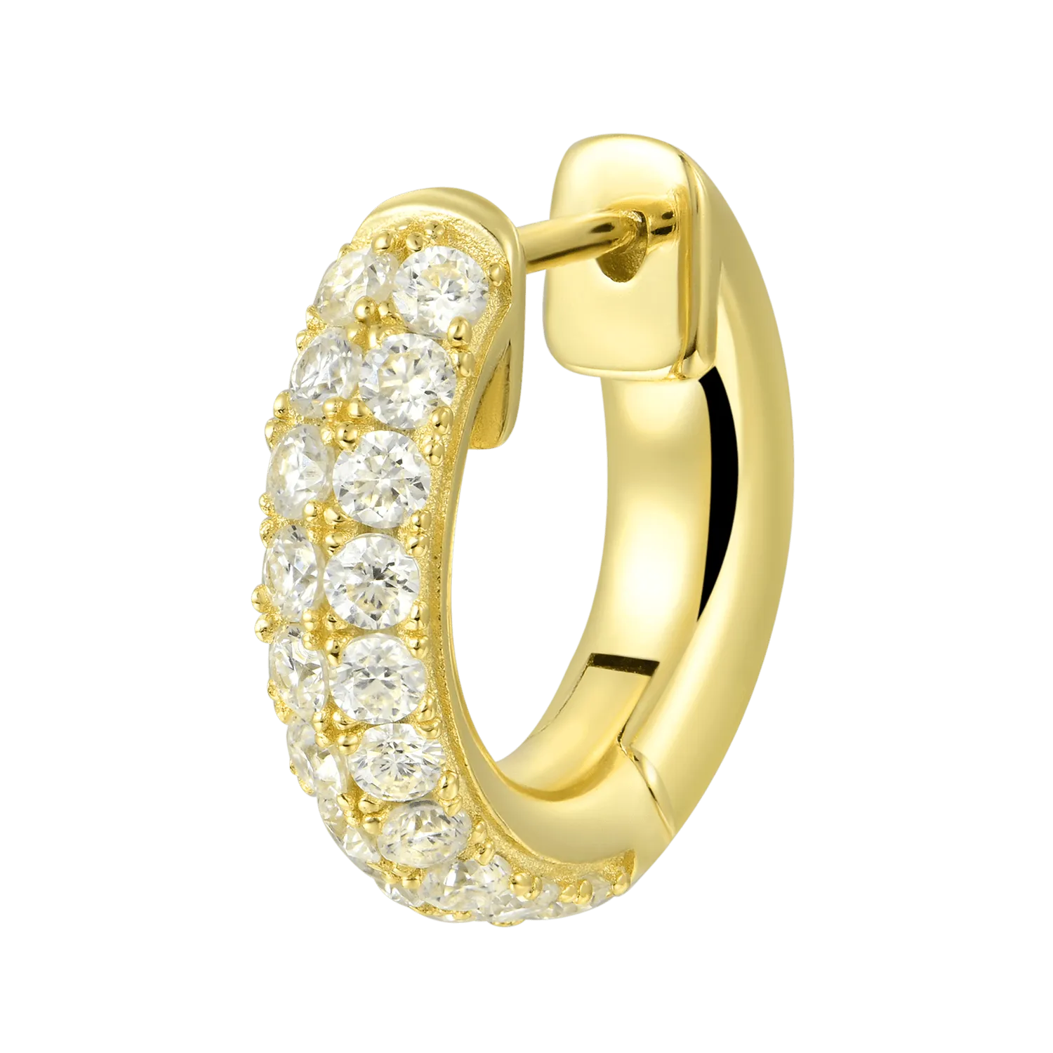 Double Row Hoop Earring