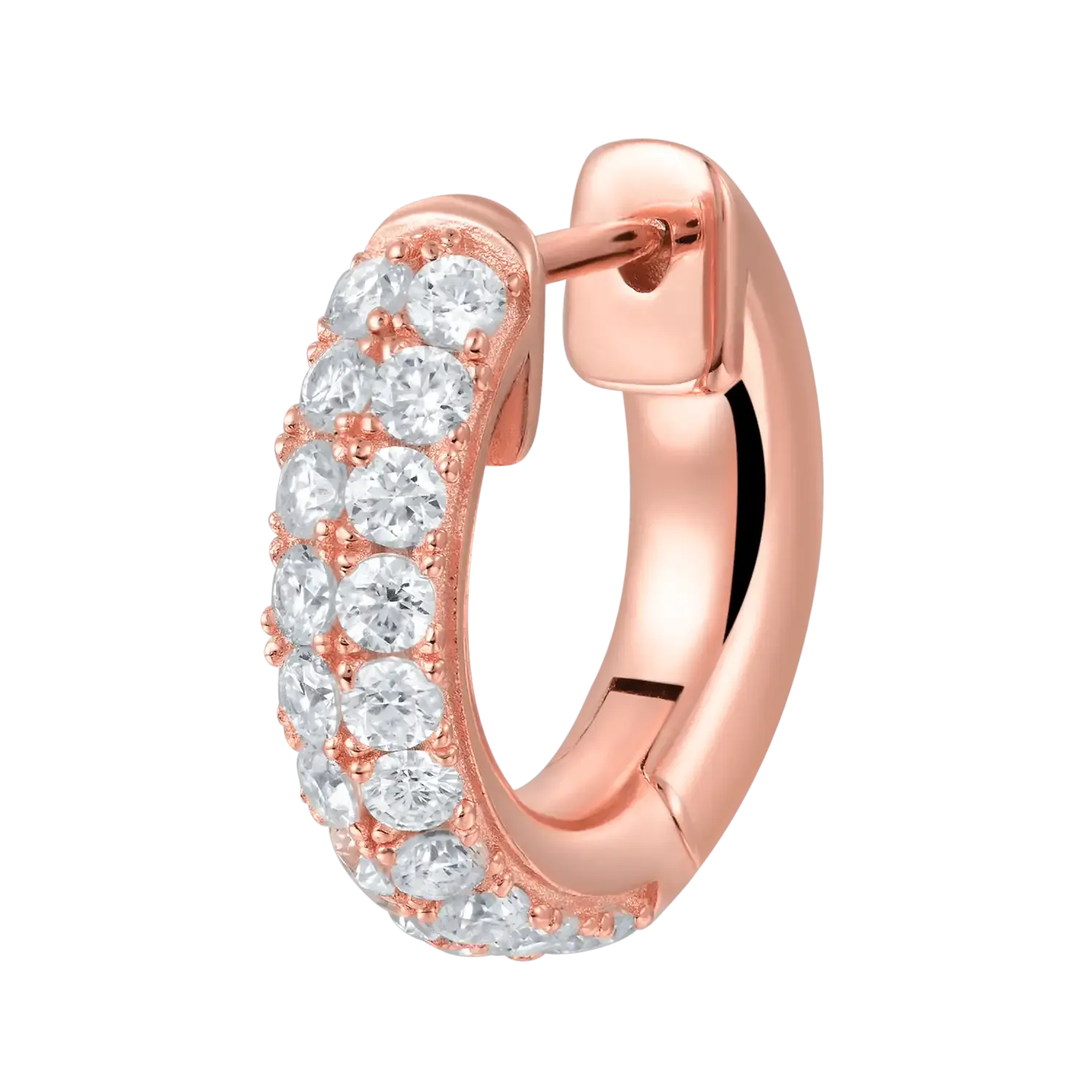 Double Row Hoop Earring