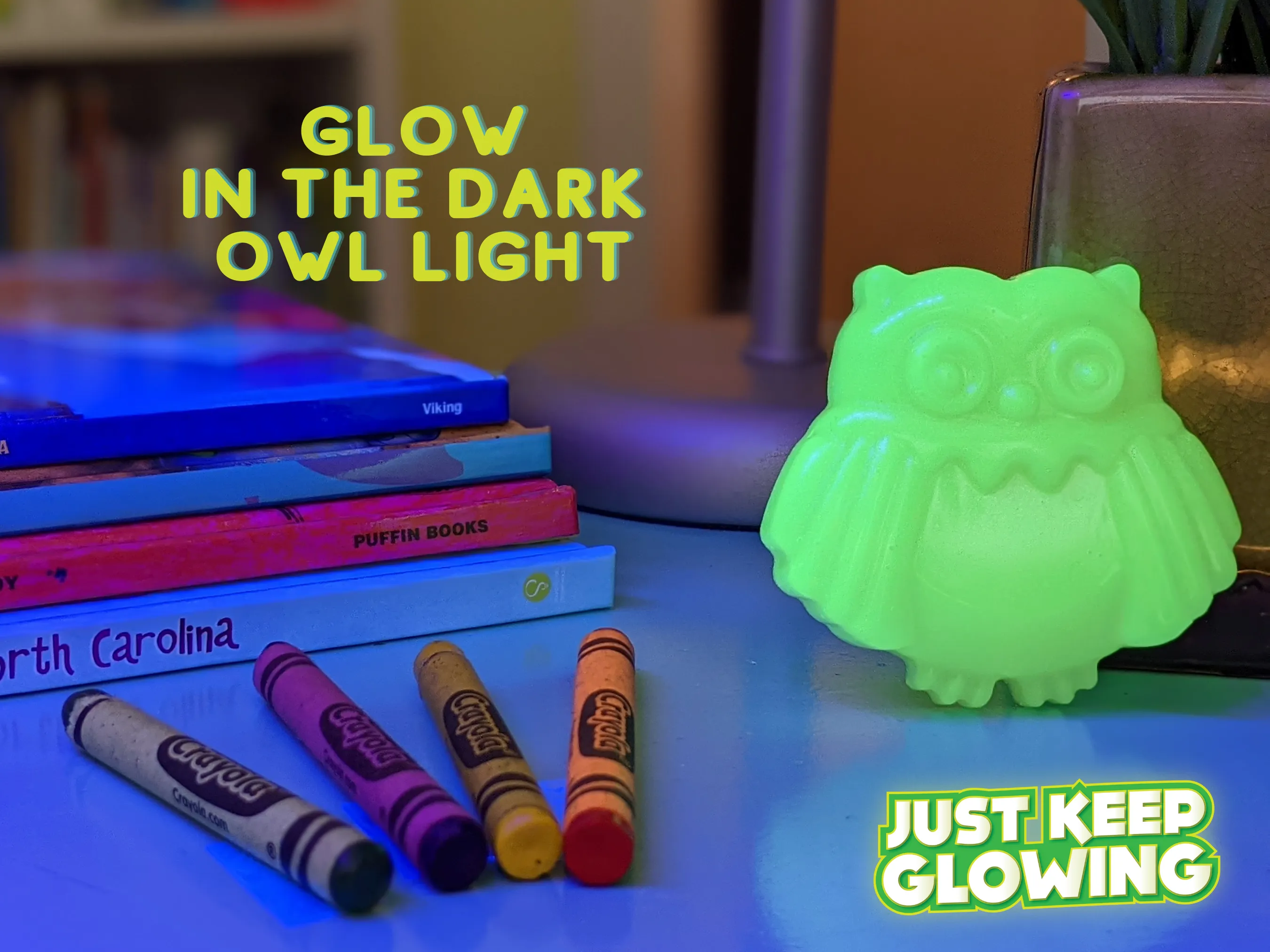 EDSEL THE GLOW IN THE DARK OWL LIGHT