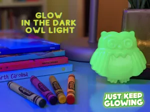EDSEL THE GLOW IN THE DARK OWL LIGHT