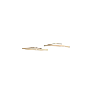 Gold Long Branch Earrings