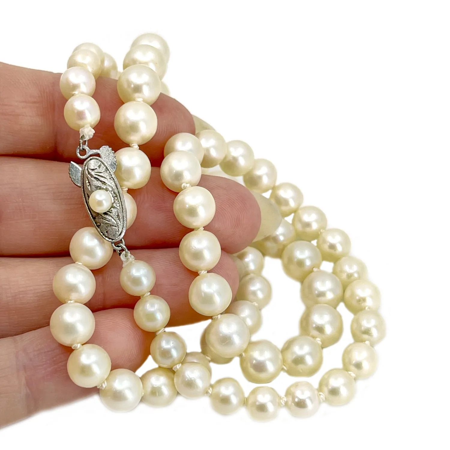 Large Cream Japanese Saltwater Cultured Akoya Pearl Graduated Vintage Necklace- Sterling Silver 19.50 Inch