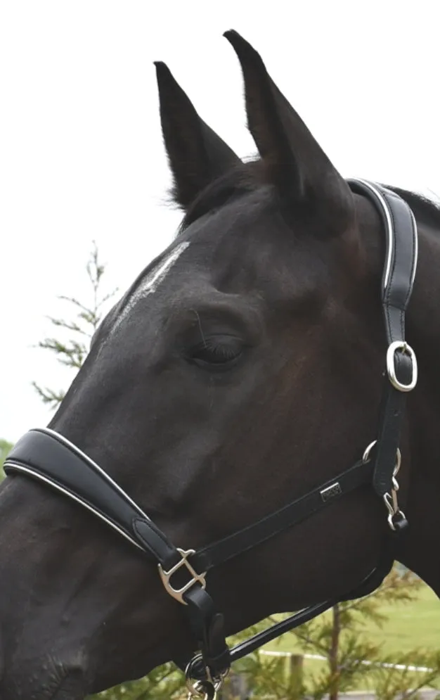 New Rocco Italia Turin padded leather headcollar FREE POSTAGE 🟢