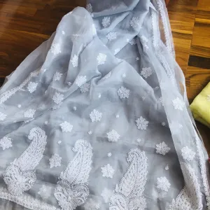 Organza Chikankari Saree In Grey