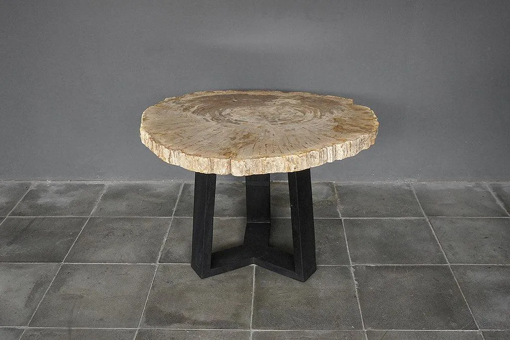 Petrified Wood Coffee Table