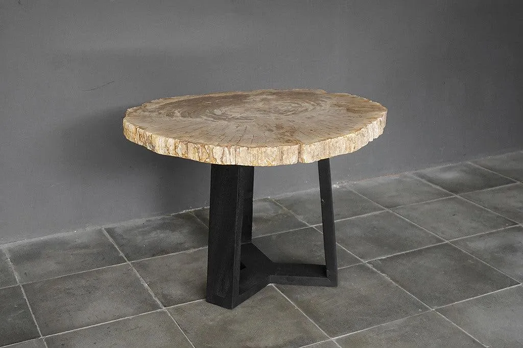 Petrified Wood Coffee Table