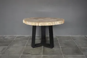 Petrified Wood Coffee Table
