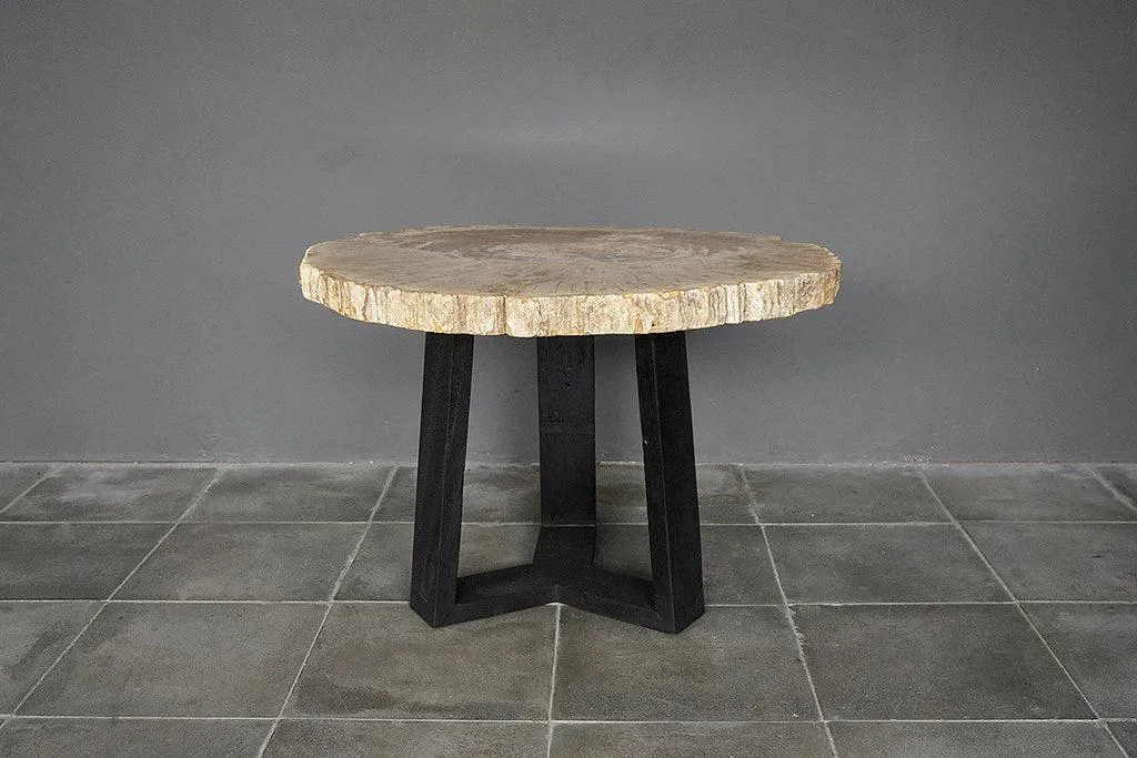 Petrified Wood Coffee Table