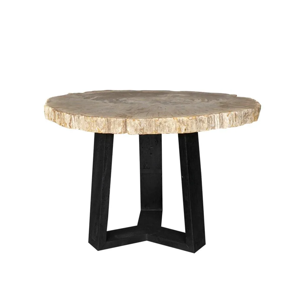 Petrified Wood Coffee Table