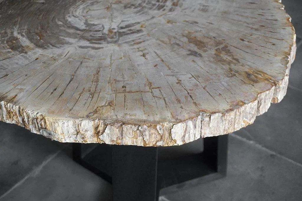 Petrified Wood Coffee Table