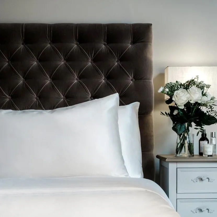 The Pure Silk Pillowcase Set of Two (RRP £98)